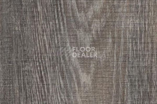 Виниловая плитка ПВХ FORBO Allura Click Pro 60152CL5 grey raw timber фото 1 | FLOORDEALER